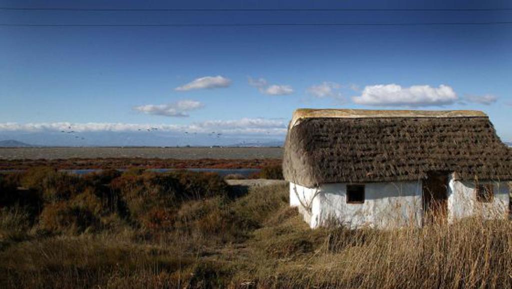 Mi Apartamento En El Delta Del Ebro Deltebre Exterior foto